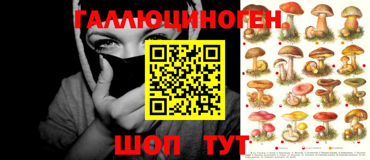 Псилоцибиновые грибы прущие грибы  Вход с VPN  Псилоцибиновые грибы MAGIC MUSHROOMS  как найти закладки  Корсаков 