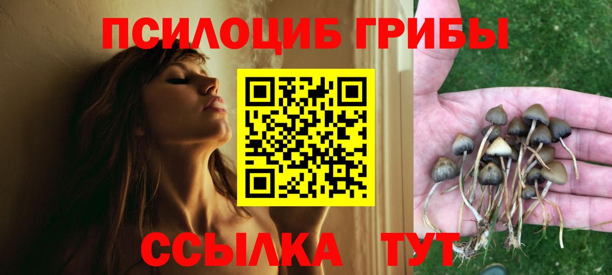 Псилоцибиновые грибы ЛСД Корсаков