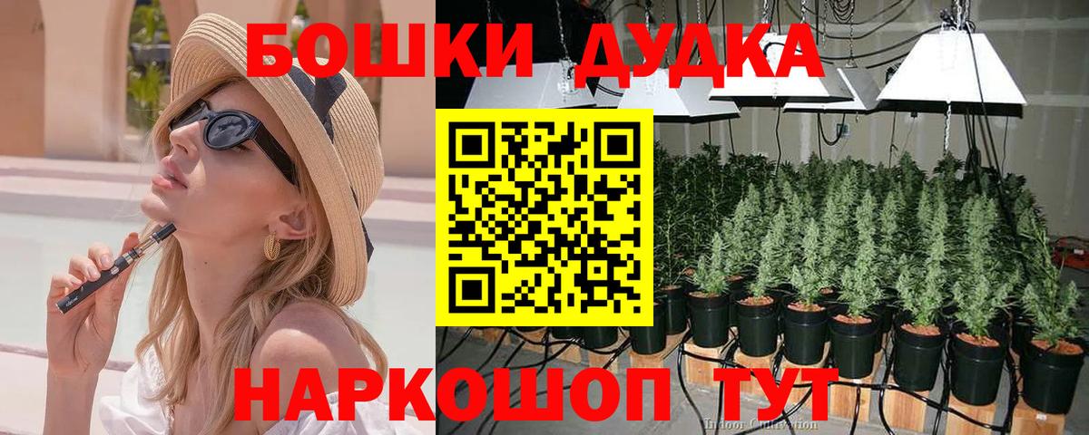 МАРИХУАНА сатива Корсаков